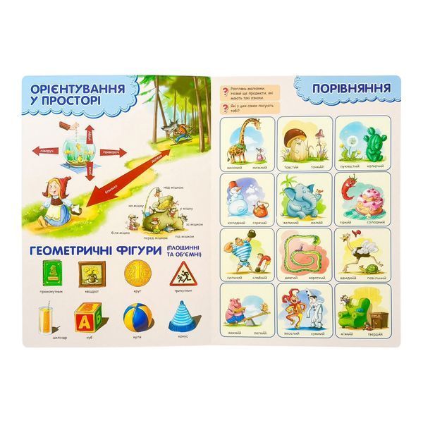 Всезнатика 11447 фото