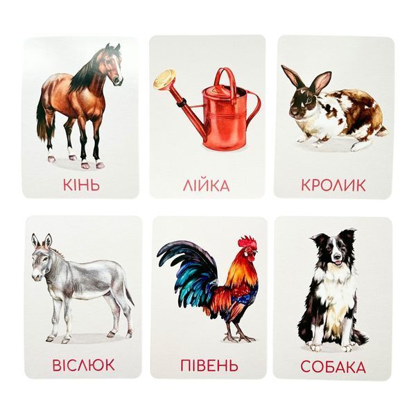 Ферма. Набір Навчальних карток Монтесорі 11455 фото