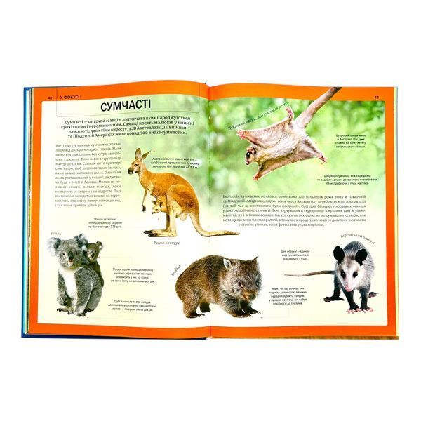 Велика книга тварин 10692 фото