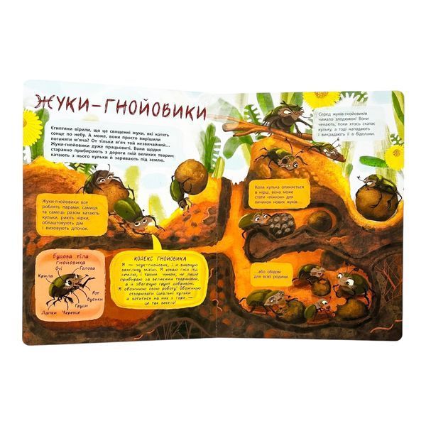 Книжки для розумак: Таємне життя комах 10911 фото
