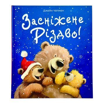 Засніжене різдво 10512 фото