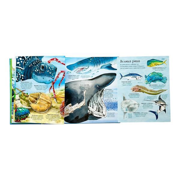 Велика книга морських мешканців 10636 фото