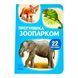22 картинки: Прогулянка зоопарком 11526 &ndash; фото 1
