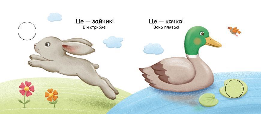Моя книжка-розкладайка: Хто що вміє? 10597 фото