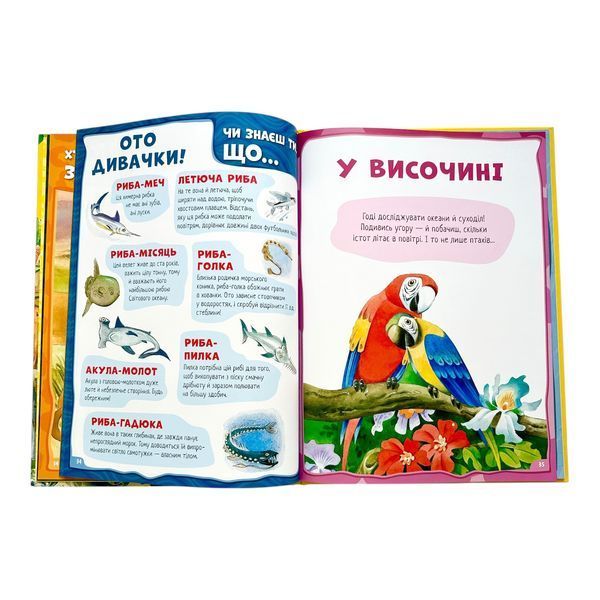 Велика книга про тварин 10323 фото
