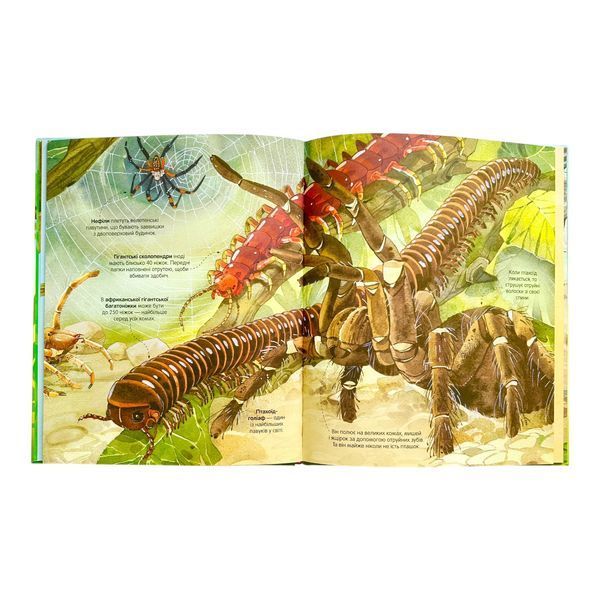 Велика книга комах 11032 фото