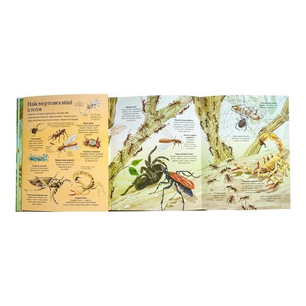 Велика книга комах 11032 фото