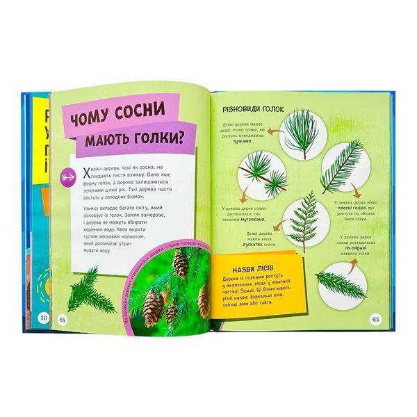 ДОВКОЛАПИТАНЬ. Енциклопедія юних розумників 10883 фото