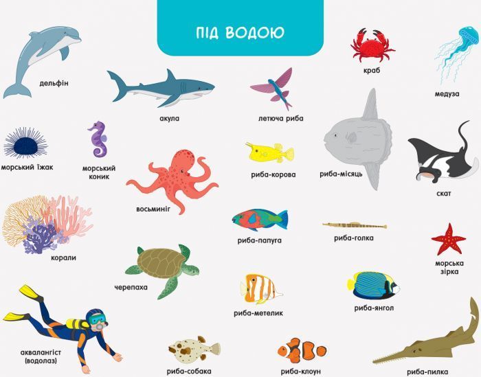 Хто і де? Ура, ми заговорили (350 слів малюка) 10010 фото